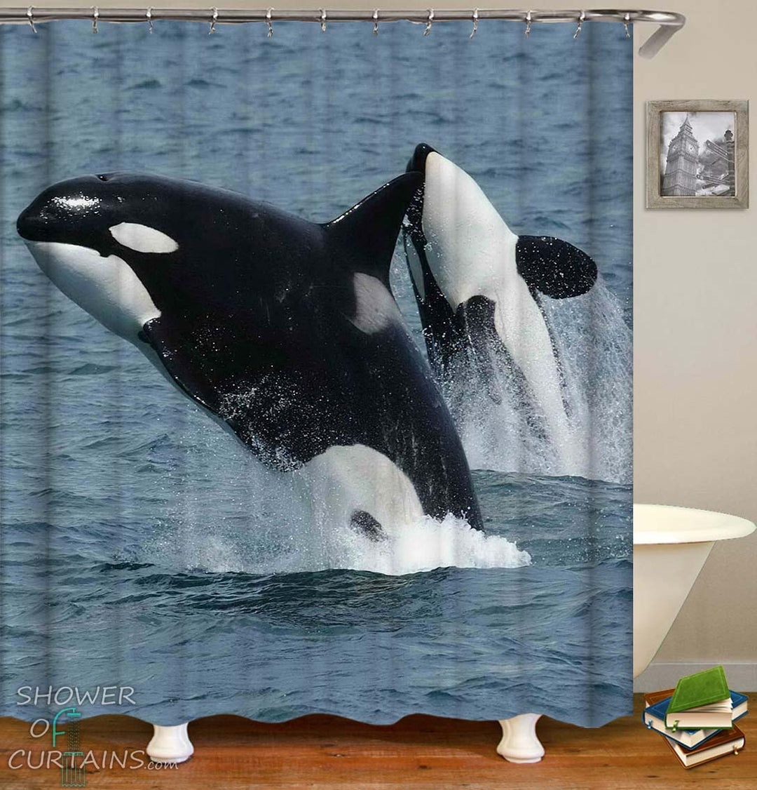 Whale Shower Curtains